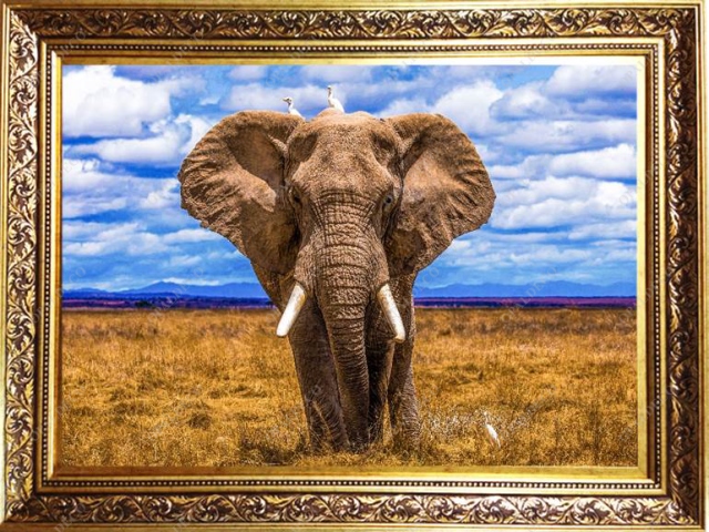 A1015-Elephant-Pictorial Carpet