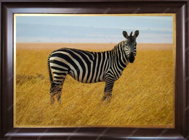 A1112-Zebra-Pictorial Carpet