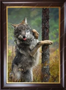 Wolf-Cute-Pictorial Carpet