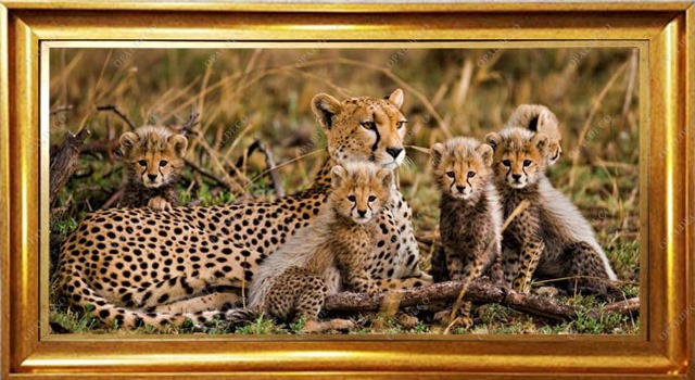 Cheetah-family-Pictorial Carpet
