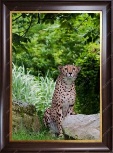cheetah-Pictorial Carpet