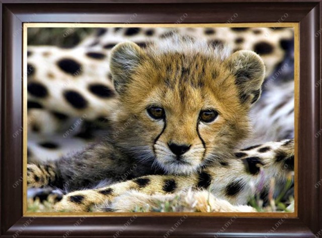 cheetah-baby-Pictorial Carpet