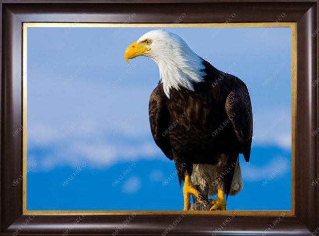 eagle-Pictorial Carpet