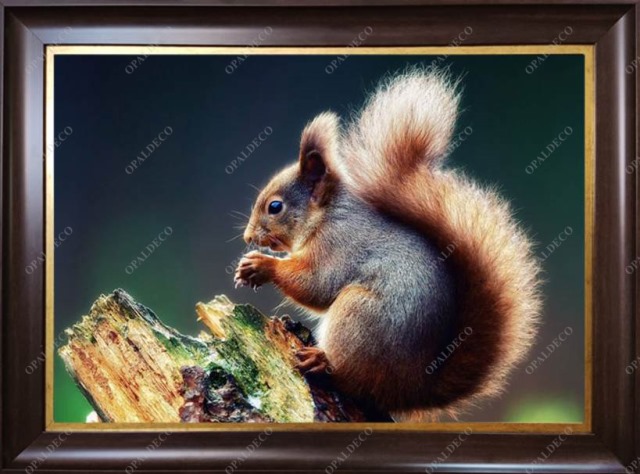 A1014-Squirrel-Pictorial Carpet