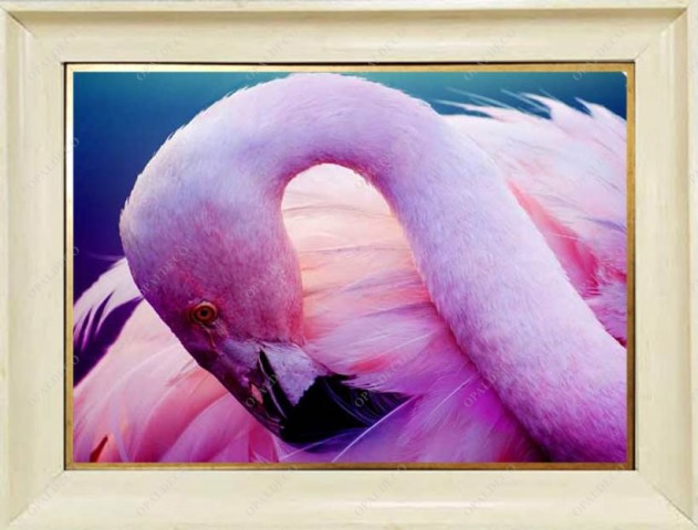 flamingo-Pictorial Carpet