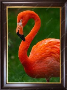 A1020-Flamingo-Pictorial Carpet