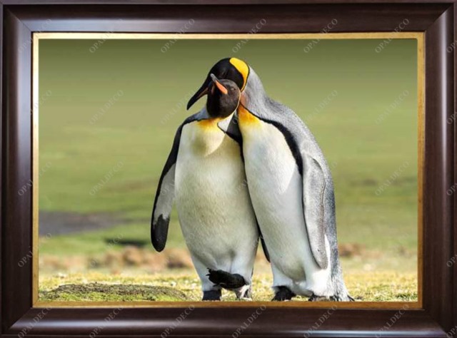 Penguin-Pictorial Carpet