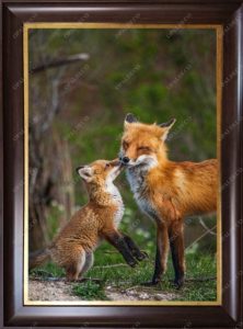 Fox and Baby-Pictorial Carpet