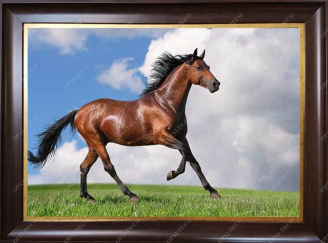 A1040-Horse-Pictorial Carpet