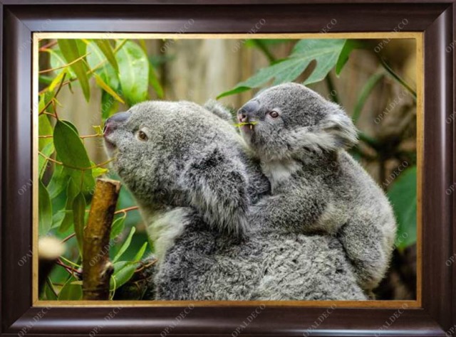 Koala and Baby-Pictorial Carpet