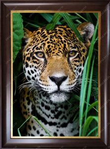 Leopard-Pictorial Carpet