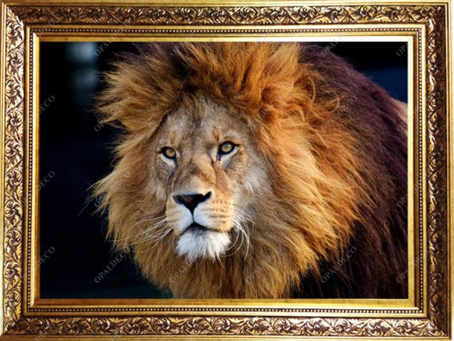 Lion-Pictorial Carpet