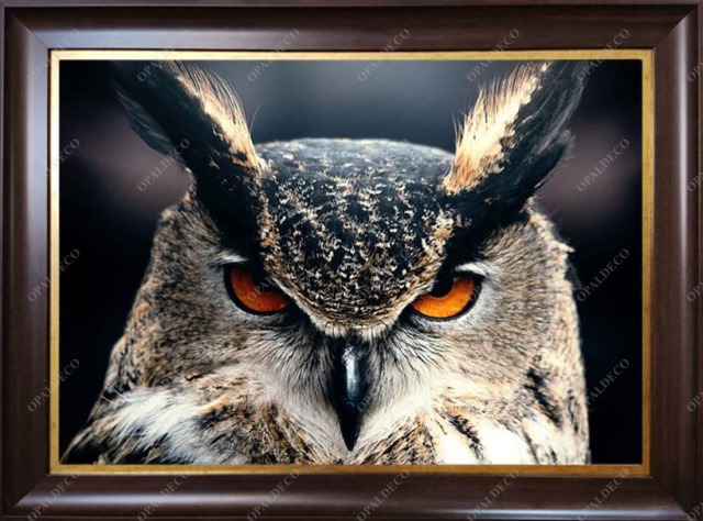 A1078-Owl-Pictorial Carpet