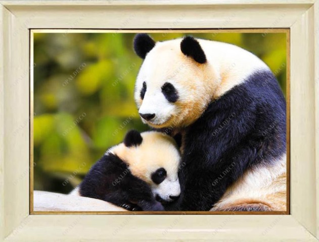 A1083-Panda and Baby-Pictorial Carpet