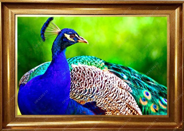 A1086-Peacock-Pictorial Carpet