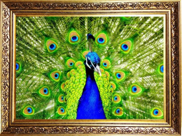 Peacock-Pictorial Carpet
