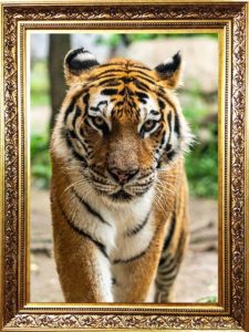 Tiger-Pictorial Carpet